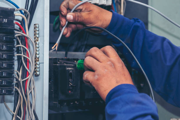 Best Best Electricians Near Me  in Harbor Beach, MI